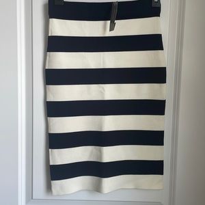 Ann Taylor Skirt